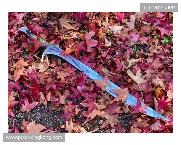 足球球星发箍：彰显个性与竞技精神的独特装备与潮流趋势